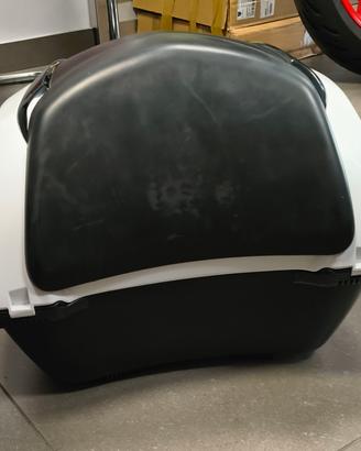 Bauletto SH 300