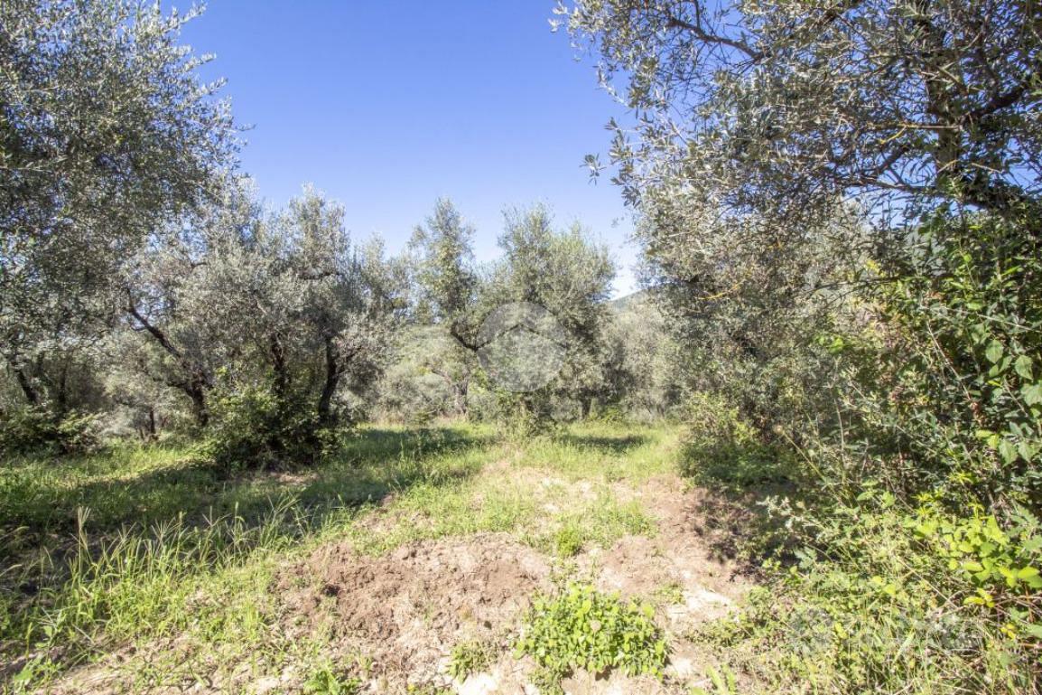 RUSTICO A PALOMBARA SABINA - View 4