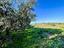 Immagine 25