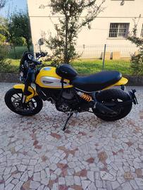 Ducati scrambler 800 Icon ABS 