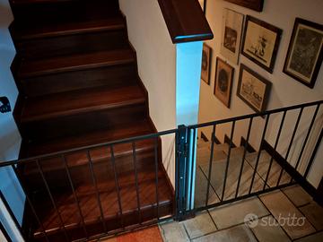 cancelletto per cani