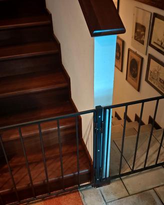 cancelletto per cani