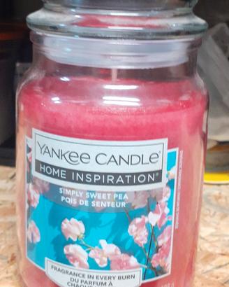 Candela Yankee candle 
