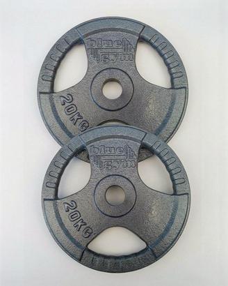 Coppia dischi olimpionici ghisa 20kg