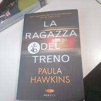 La ragazza del treno 