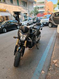 Honda Hornet 