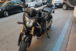 Honda Hornet 