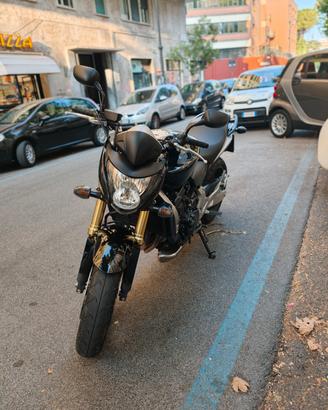 Honda Hornet 