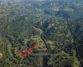 Terreno Agricolo Arzachena Località Mantedda