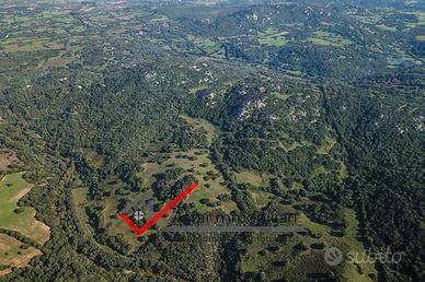 Terreno Agricolo Arzachena Località Mantedda