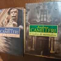 Romanzi Andrea Camilleri 