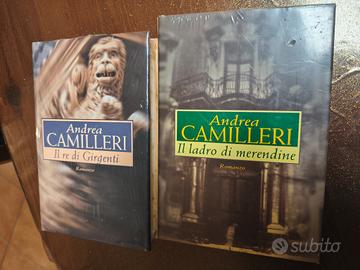 Romanzi Andrea Camilleri 