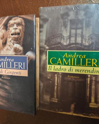 Romanzi Andrea Camilleri 