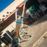 Carrozza cavalli