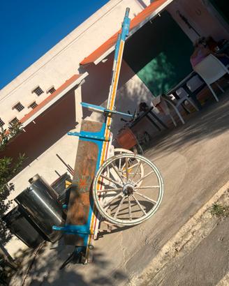 Carrozza cavalli
