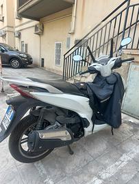 SH 300 - 2018 (settembre) - 51..000 km