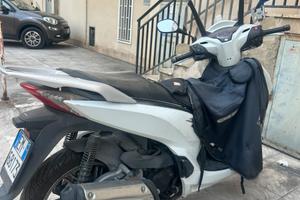 SH 300 - 2018 (settembre) - 51..000 km
