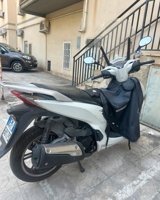 SH 300 - 2018 (settembre) - 51..000 km