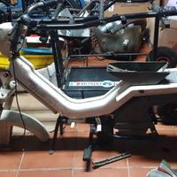 Telaio atala green | Monferraglia