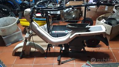 Telaio atala green | Monferraglia