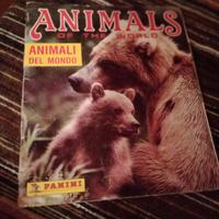 4 album Panini Animali
