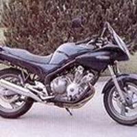 Scarico Marmitta Yamaha XJ 600 S Diversion