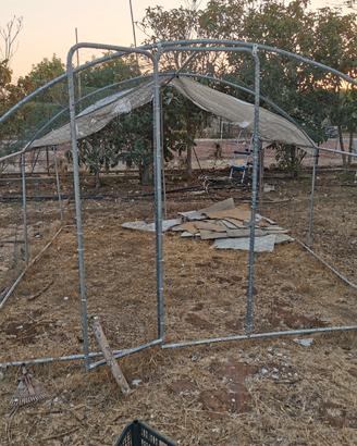 Gabbia per Galline 3 m.  x 2 m. 