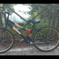 mountain bike  unisex