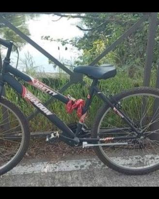 mountain bike  unisex