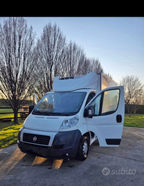 Fiat ducato con cella frigo e sollevatore