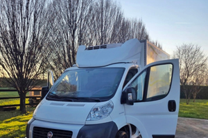 Fiat ducato con cella frigo e sollevatore
