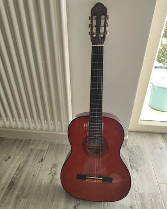 Chitarra Ekò mod. 6310