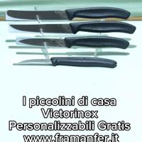Lame victorinox da cuoco/chef/tavola personaliz