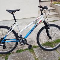 MTB TORPADO