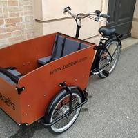 Cargo Bike Olandese
