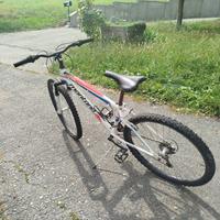🚲 Mountain Bike Montana – in buone condizion