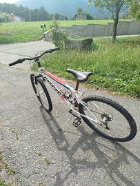 🚲 Mountain Bike Montana – in buone condizion