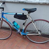 Bicicletta da corsa