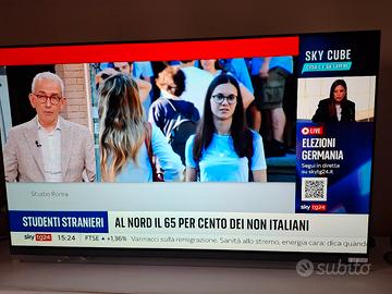 Televisore lg oled 55"