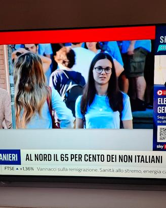 Televisore lg oled 55"