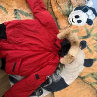 Giubbotto canada goose