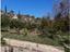 Immagine 7