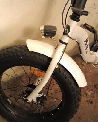 Bicicletta