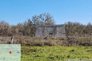 Terreno agricolo uliveto