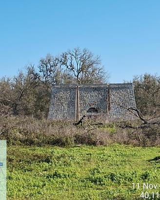 Terreno agricolo uliveto