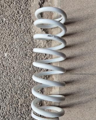 molla mono ammortizzatore 