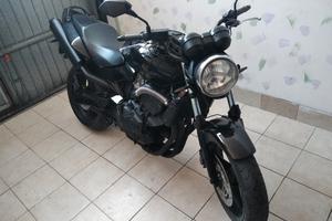 honda hornet 600
