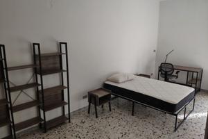 Camera singola in appartamento ammobiliato