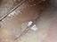 Immagine 13