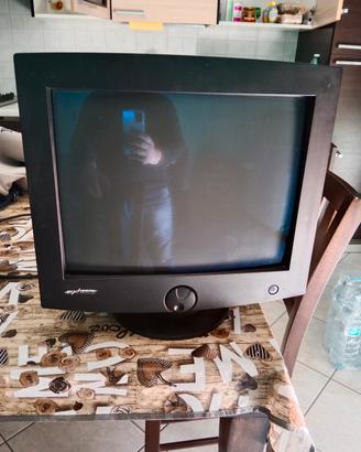 monitor 